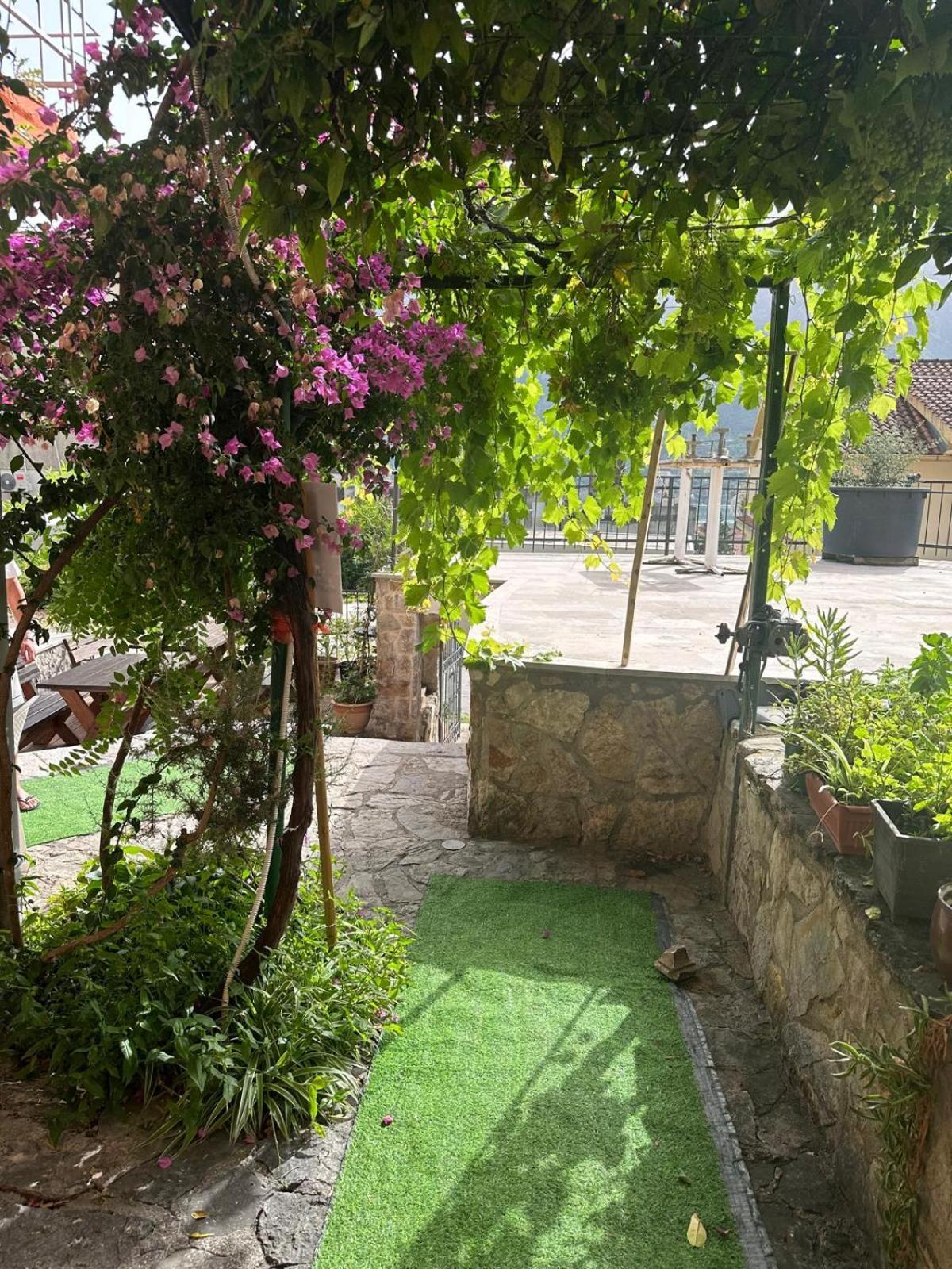 Themis Apart Hotel Kotor Exterior photo